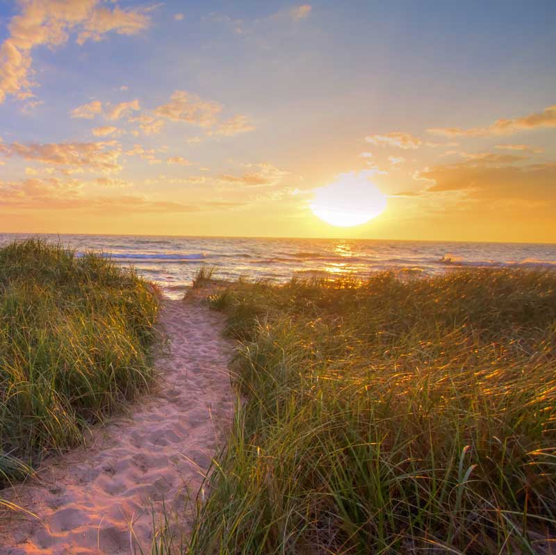 Lake Michigan Sand Beach Grass Sunset
